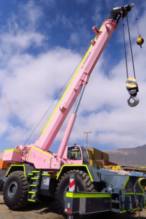 Terex RT 130